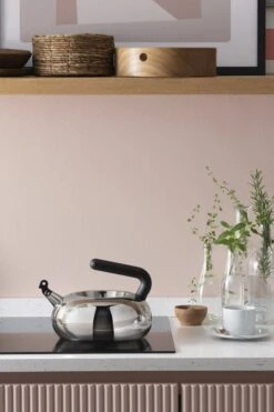 Alessi Bulbul Kettle, Steel - Black -Kitchenware Store 0001 AC100 amb 1 2x3 A4 3500pxl