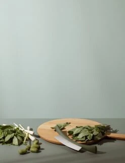 Eva Solo Green Tool Herb Chopper, Green 11 Eva Solo Green Tool Herb Chopper, Green -Kitchenware Store 531522 3