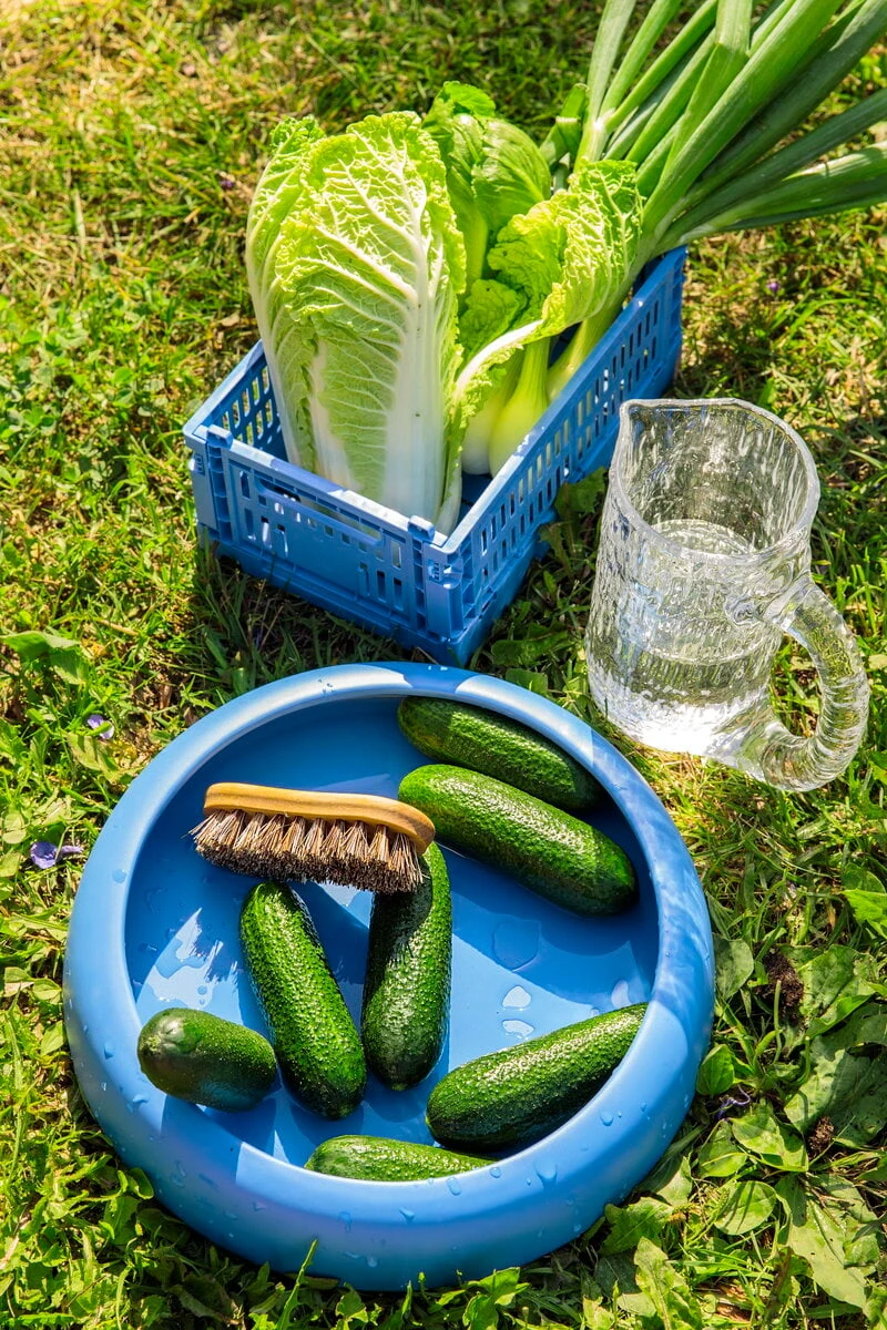 Iris Hantverk Vegetable Brush 5 Iris Hantverk Vegetable Brush - Image 3