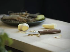 Fiskars Norr Peeling Knife -Kitchenware Store Fiskars Kitchen Environmental Norr Peeling knife ginger 1016475 28129