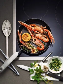 Fiskars Rotisser NOH Frying Pan 24 Cm -Kitchenware Store Hackman Rotisser NOH CMYK Coated JPG