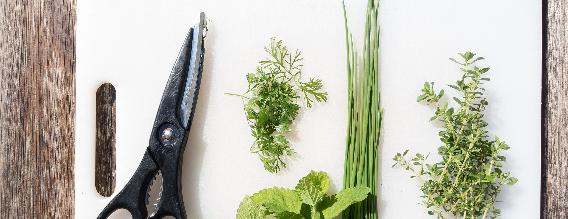 Kitchenware Store 1 Kitchenware Store -Kitchenware Store spices 2419055 1920